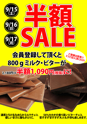 ショコラ★お得な割引！セール実施中！ 3日間限定！半額セール！ (チュベログ~割れチョコ専門店チュベ・ド